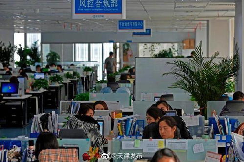 中企云鏈 以創(chuàng)新金融科技服務(wù)安心扎根，以信息技術(shù)咨詢服務(wù)舒心發(fā)展